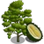 Durian Tree-icon.png