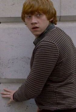 Ron Weasley (Cropped image from first Deathly Hallows trailer)