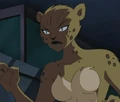 Cheetah DCAU 001