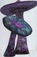 Octoshroom
