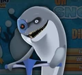 DocBlowhole.JPG