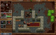 Warcraft orcs and humans1