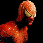 Spiderman2007