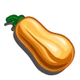 Squash-icon