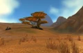 Barrens at Day.jpg