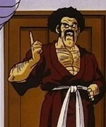Mr. Satan5
