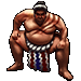 Item sumotorifighter 01.gif