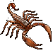 Item bangkok scorpion b