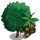 Walnut Tree-icon