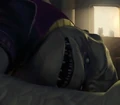 Nack Movers.jpg
