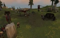 Thorvald's Camp.jpg