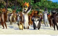 Lemurs.jpg