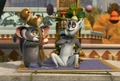 Lemur2.jpg