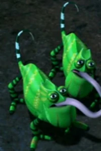 Chameleons