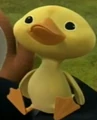 Eggy2.jpg