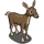 Doe-icon
