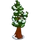 Redwood Tree-icon