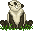 Xandbearhatchling.gif