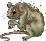 Decessusadult.gif