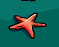 Starunderwater