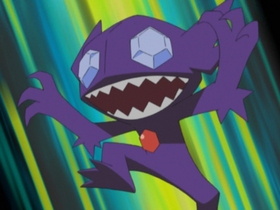 http://images1.wikia.nocookie.net/__cb20100128005802/es.pokemon/images/a/aa/EH16_Sableye_de_Cassidy.jpg
