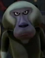 Baboon2.jpg