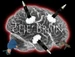 TheBrainWarFlagSm