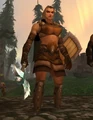 Winterskorn Shield-Maiden.jpg