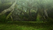 GrtForest-Area3