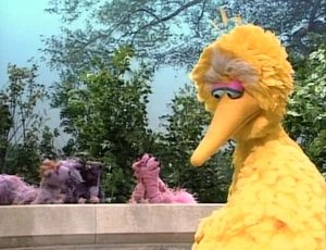 BigBirdDoesn'tFly.jpg