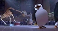 Madagascar04.jpg
