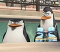 PenguinHQ3.jpg
