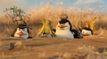 Penguins04.jpg
