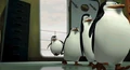 Penguins03.jpg