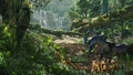Flora Pandora.jpg