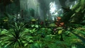 Flora Pandora2.jpg