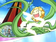 EP399 Sunflora