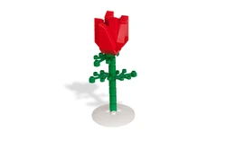 852786 Rose