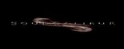 Scmv3