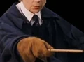 Hoochwand.jpg