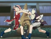 Sakuravsino8