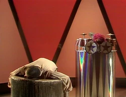 314-11.jpg