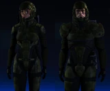 Medium-human-Mantis