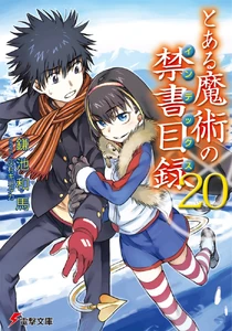 Toaru Majutsu no Index Light Novel v20 cover