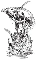 Thumbnail for version as of 10:45, February 10, 2010