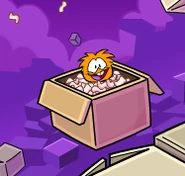Orange 1