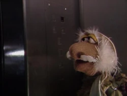 Matt elevator