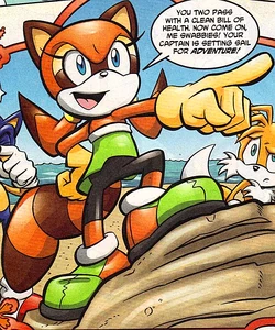 Marine the Raccoon