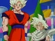 Gokugohan fin