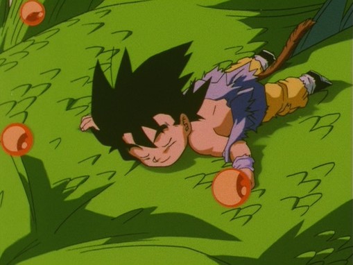 http://images1.wikia.nocookie.net/__cb20100212215136/dragonball/es/images/a/ad/Goku_leaves_with_Shenron.jpg